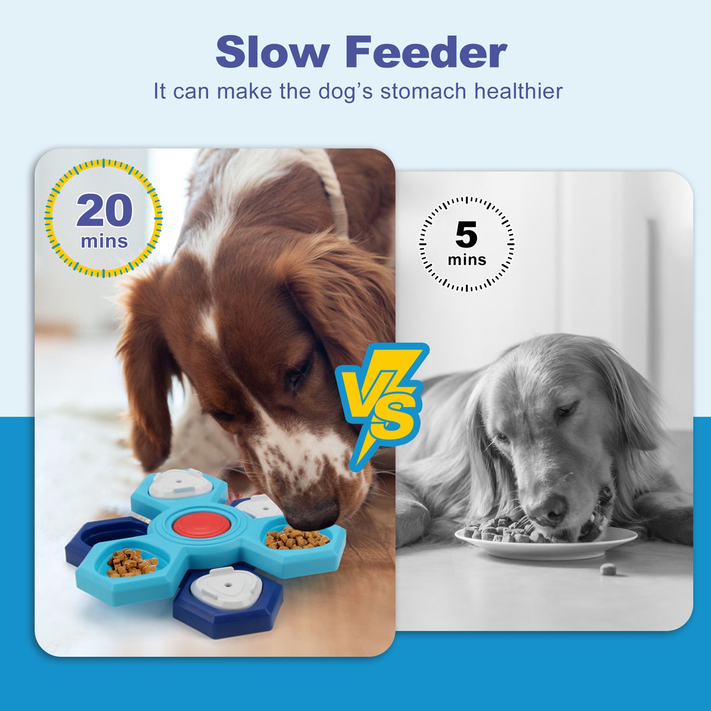 4-Layer Puzzle Slow Feeder Dog Bowl
